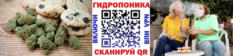 Canna-Cookies конопля  хочу   kraken ссылки  Олёкминск 