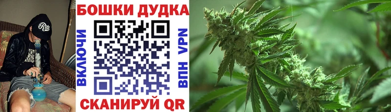 МАРИХУАНА план  OMG   Олёкминск 